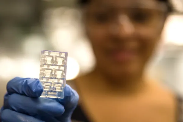 A student (who is blurred in the background) wearing latex gloves holds a plastic 3”x1.5” 3D-printed item close to the camera. The item serves as a system for testing micro-organisms and their effect on gut health. 